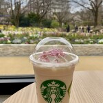 STARBUCKS COFFEE - 