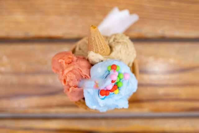 Antica Gelateria Tamagawa Ten photo 2