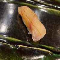 月の木 - 