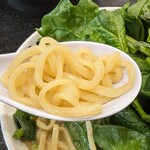 食堂 はせ川 - 東京製麺の中太麺