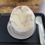 青山商店 - 待ちわびた桜