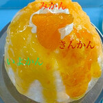 青山商店 - 柑橘は3種類、それぞれ美味（≧∇≦）