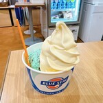 ブルーシール - 