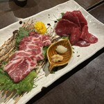 Sake Sakana Shunsai Rikari - 