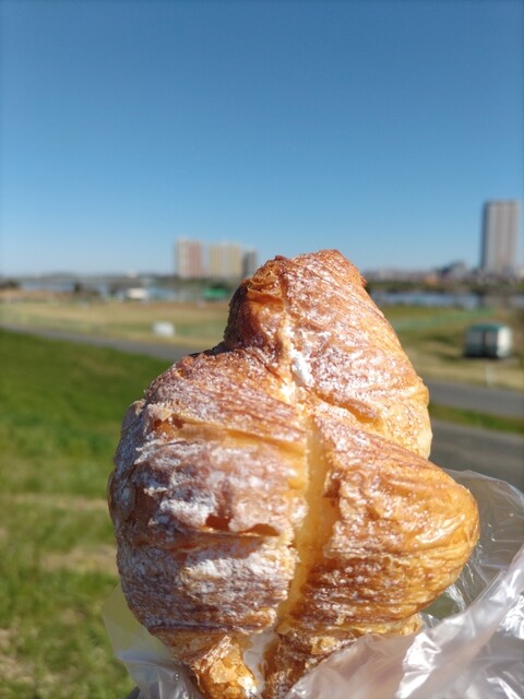 Lyon Celeb Shishibone