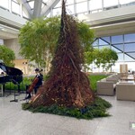 ピーク・ラウンジ - 素敵空間