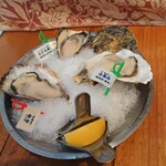 Oyster Bar ジャックポット - 