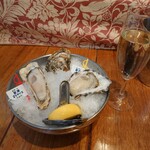 Oyster Bar ジャックポット - 