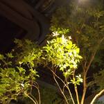 ラ・トォルトゥーガ - テーブルのお花