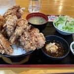 Karaage Hitosuji - 