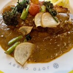 JOTO CURRY  - 