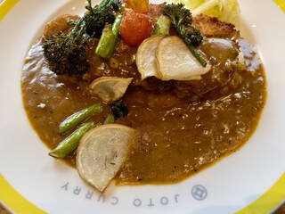 JOTO CURRY  - 