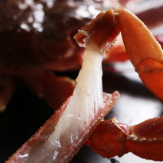 11月７日開始！活柴山がに（松葉ガニ）コース