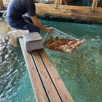 河太郎 中洲本店 - 