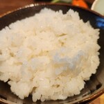 とんかつ 太志 - 炊き加減は少し柔らかめ