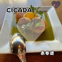 CICADA - 