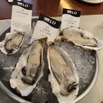 ガンボ＆オイスターバー 千葉そごう店 - 