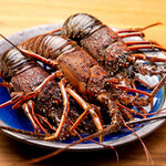 Live lobster sashimi (limited quantity)