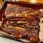 Unagi Ikeda - 