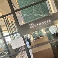 THE PENTHOUSE with weekend terrace - 