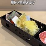 Tairyou Zushi - 