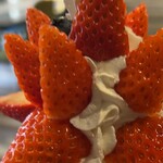 フルーツ大野ANNEX - 