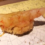 島津 - ボタンエビ