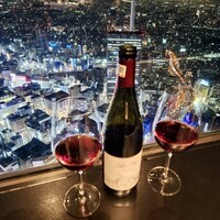 サンシャイン クルーズ・クルーズ - 