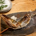夜ノ焼魚 ちょーちょむすび - 本カマス！(｢･ω･)｢ｶﾞｵｰ