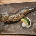 夜ノ焼魚 ちょーちょむすび - 最後にもう一度(笑)とろ鰯ちゃん