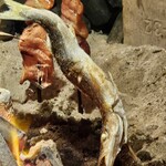 夜ノ焼魚 ちょーちょむすび - いい画が撮れました♪