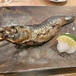 夜ノ焼魚 ちょーちょむすび - マイフェイバリット！とろ鰯の炭火焼き