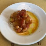 ガストロノミア冨屋 - 聖護院大根と白インゲン豆の カレッティエッラ