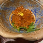 飲過量謙信 - 