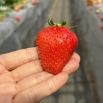 姫路ハートフル観光農園 - 