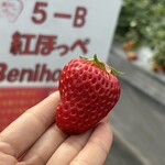 姫路ハートフル観光農園 - 