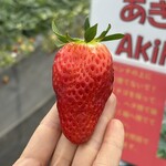 姫路ハートフル観光農園 - 