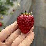 姫路ハートフル観光農園 - 