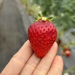 姫路ハートフル観光農園 - 