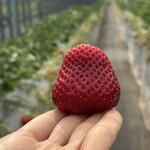 姫路ハートフル観光農園 - 