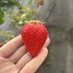 姫路ハートフル観光農園 - 