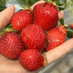 姫路ハートフル観光農園 - 