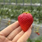 姫路ハートフル観光農園 - 