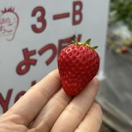 姫路ハートフル観光農園 - 