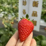 姫路ハートフル観光農園 - 