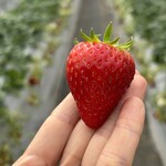 姫路ハートフル観光農園 - 