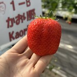 姫路ハートフル観光農園 - 