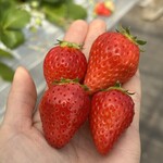 姫路ハートフル観光農園 - 