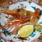 赤坂 詠月 - ４．お造り（平目・鰤・ぼたん海老）　2014.1.20