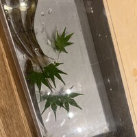 三宅輝 - 